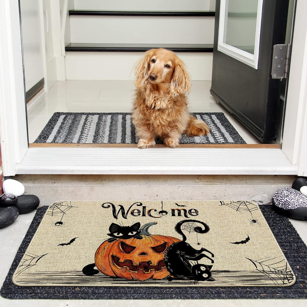 NIETEIN Halloween Door Mat Pumpkin Cat Gnomes Non-Slip Washable 31.5x19.7 Inch (Black Cat Pumpkin)