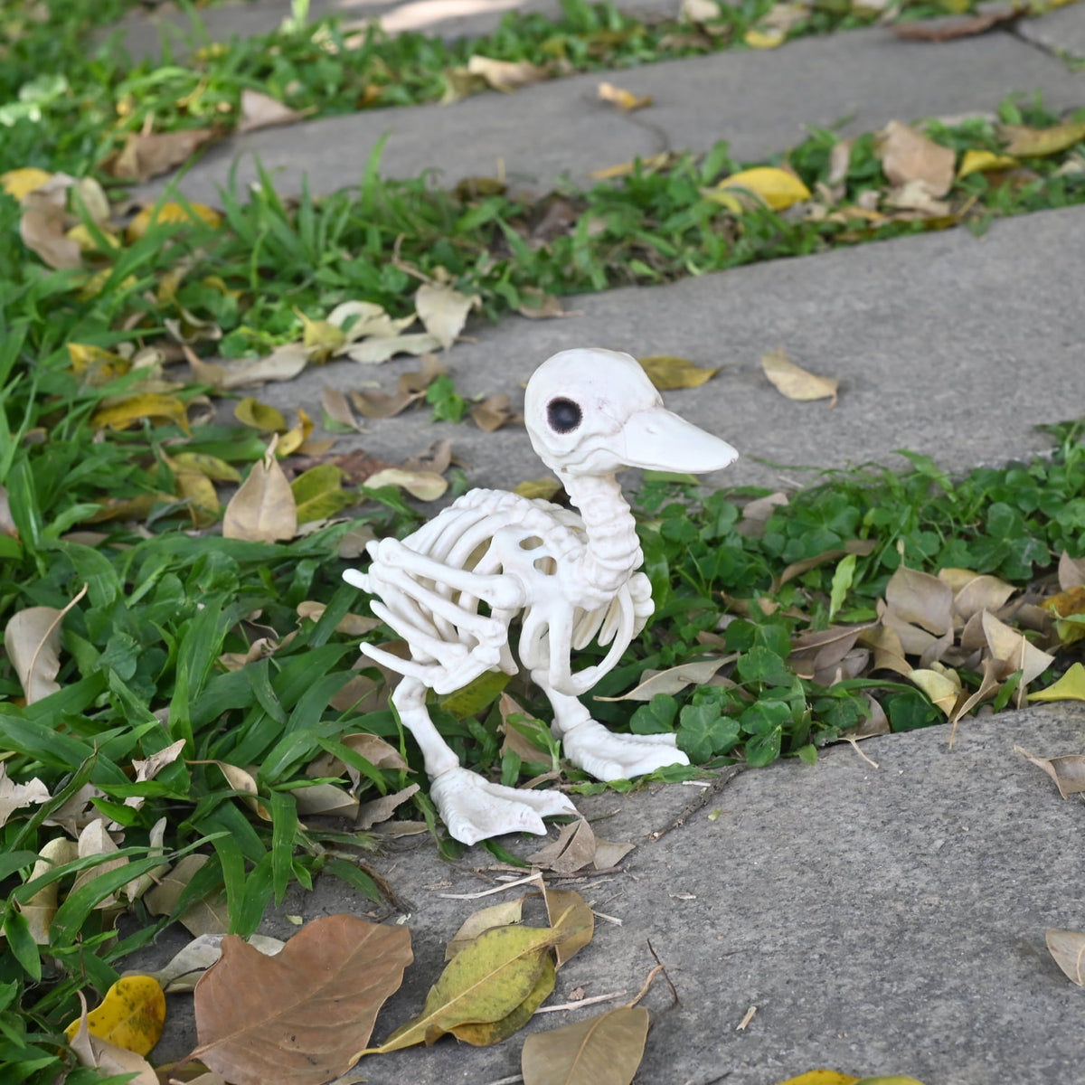 Seasons Skeleton Baby Duck Halloween Decoration for Crazy Bonez Skeleton Line