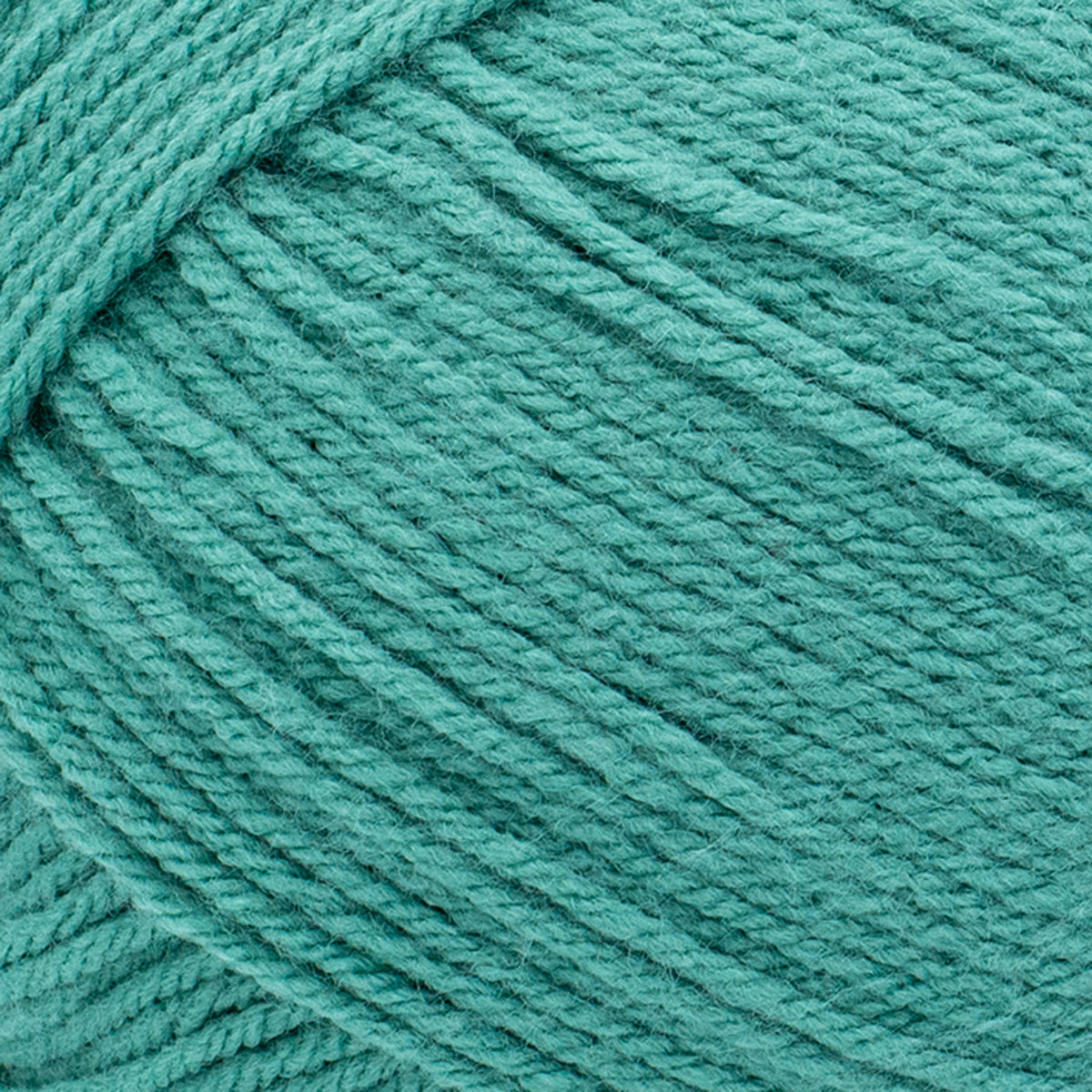 Lion Brand Yarn Pound of Love Pastel Green 4 Medium Worsted Yarn Green 16 oz 1020 yards