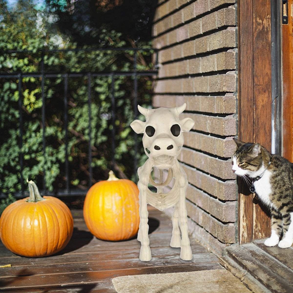 amlbb Halloween Decoration Halloween Skeleton Horror Decorations Simulation Animals Skeleton Ornaments Bar Decoration Frogs Skeleton on Clearance