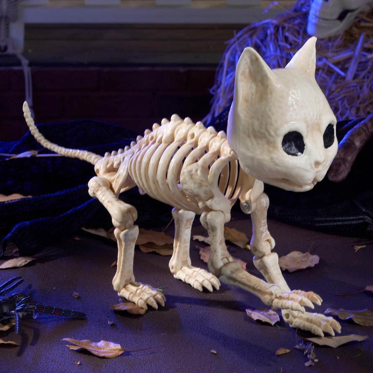 Joyfy 2 Pcs Cat Skeleton Halloween Decoration,7 Inch Posable Plastic Animals Halloween Skeleton for Indoor Outdoor Halloween Decorations,Haunted House Party Props