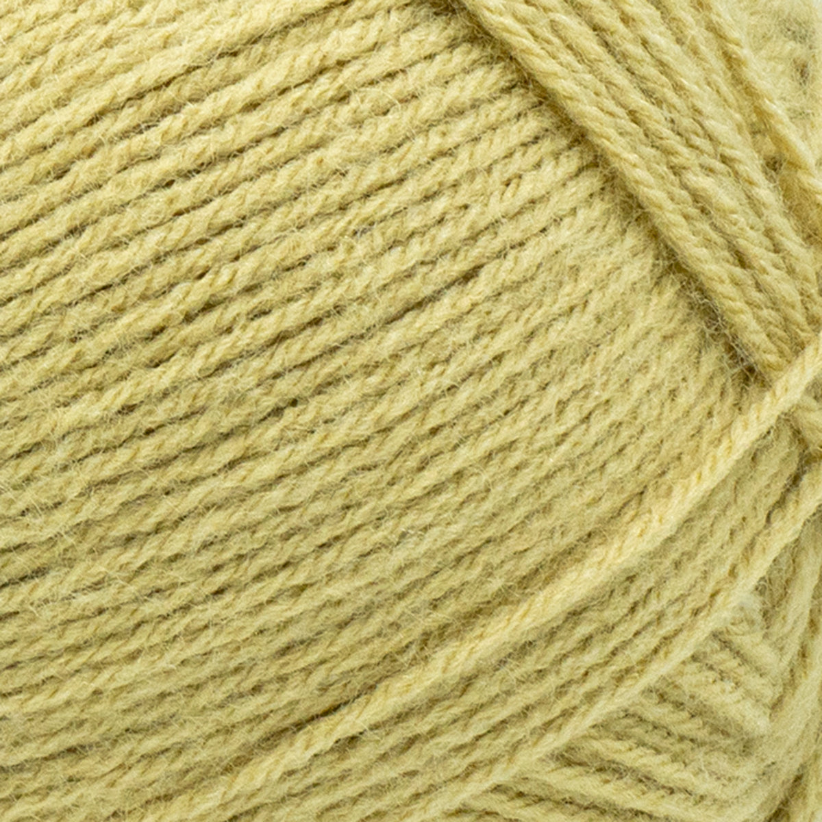 Lion Brand Yarn Pound of Love Pastel Green 4 Medium Worsted Yarn Green 16 oz 1020 yards