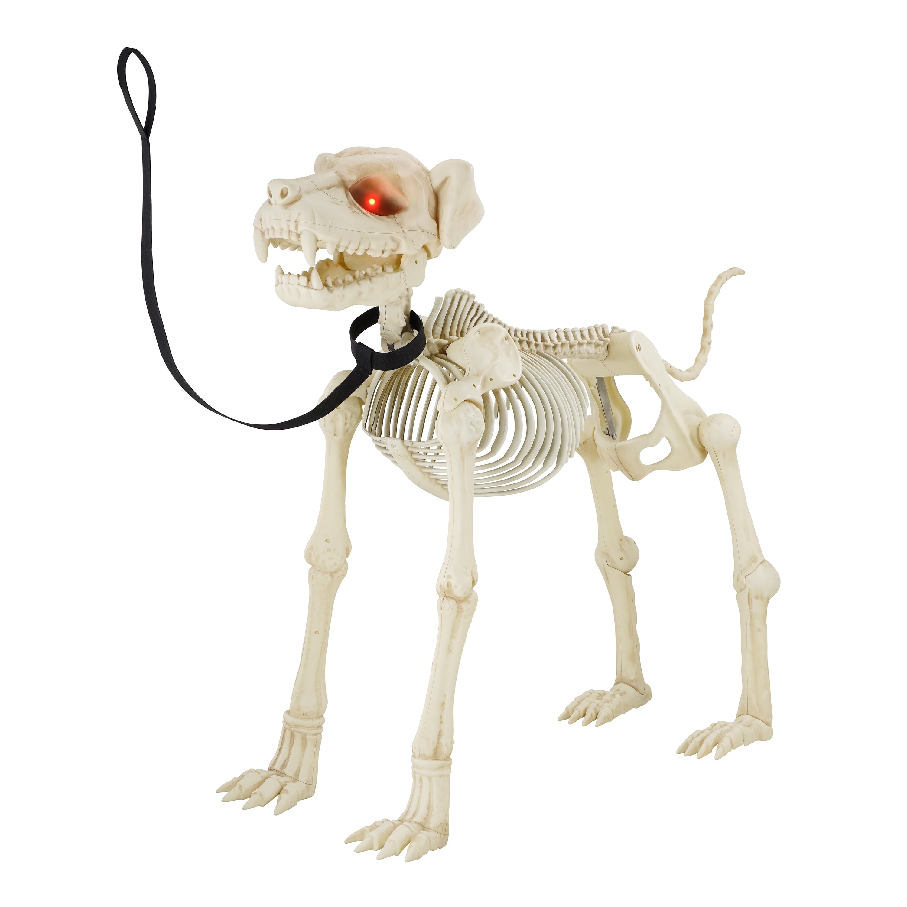 Way To Celebrate Animated Skeleton Dog Halloween Decoration, Beige, 60 in