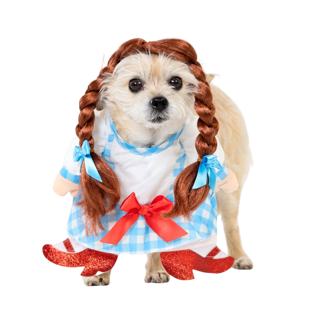 Vibrant Life Halloween Gingham Girl Costume for Dogs and Cats, Small